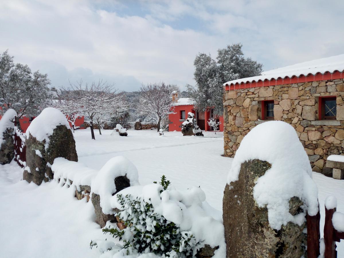 Turismo Rurale L'Agliuledda Villa Sant'Antonio di Gallura Dış mekan fotoğraf